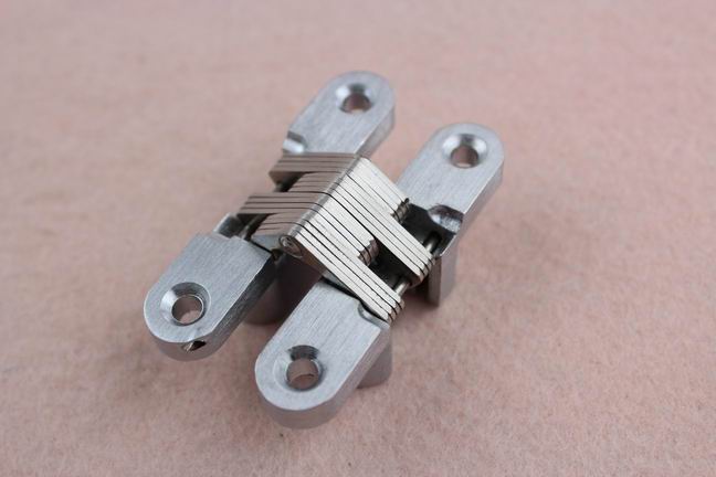 High quality zinc alloy cabinet concealed hinge 10KG capabilities model