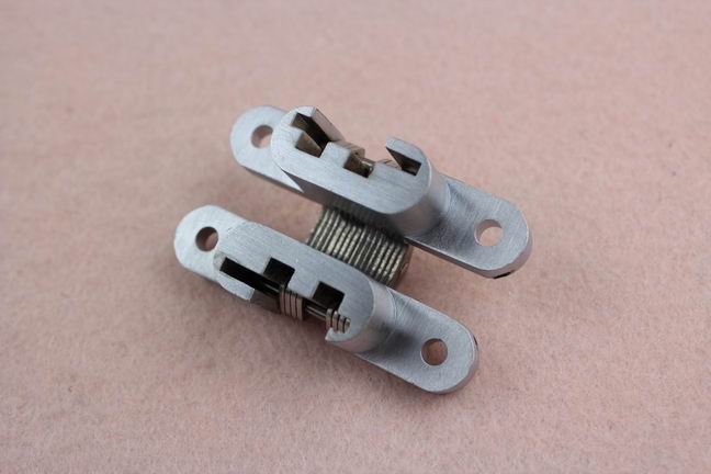 High quality zinc alloy cabinet concealed hinge 10KG capabilities model